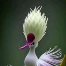 좋은생각 이미지