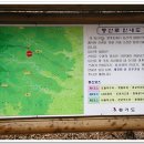 광교산 신봉동 등산로 티스토리