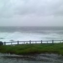 양지민박 이미지