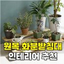 느낌 있는 원목 화분선반 제작 | 원목 화분받침대 추천(+원목 인테리어 카페감성)