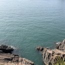 바다향기블루 이미지