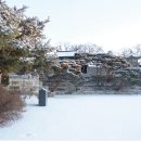 1박2일 이미지
