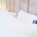 시그니처 덴바스타호텔(문현점) 이미지