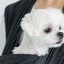 (주)케어시스 이미지