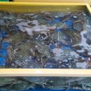 오이도종합어시장 이미지