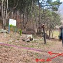 괴정2동-16 이미지