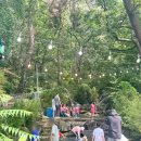 봉암유원지 광장2 | 계곡 식당 아직 안 늦었어요! 안양유원지 맛집 봉암식당