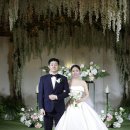 [Wedding] 본식리뷰 : 라비돌웨딩강남 / 이네스이든 / 토냐 / 김활란 메이크업 뮤네제프 / 꽃술예...