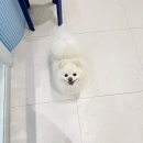 앵두미용실 이미지