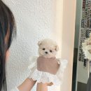 퍼피스토리 이미지