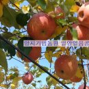 양지아래농원