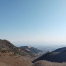 니어앤디어브런치카페 이미지