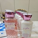 Bodyworks(바디웍스) | 배쓰앤바디웍스 Bath &amp; Body Works 바디로션 바디워시 구매 후기