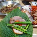 학성초등학교 | [원주 맛집] 태장동 족발 맛집 '박영환왕족발막국수'
