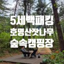 상천테마공원(주차장) | 5세 첫 백패킹 호명산잣나무숲속캠핑장, 힘들지만 또 가게 되는 이유 10가지