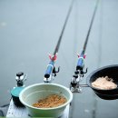 새말낚시터 이미지