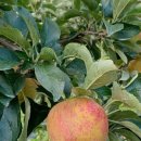 진보농장 이미지