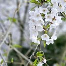 청마기념관 이미지