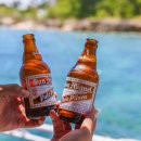 무진가든 | 필리핀 세부여행 후기 코스 일정 : 세부호핑투어 다이빙 시티투어