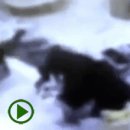 맘에든어린이집 이미지