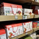 탄금축구장 축구장 이미지