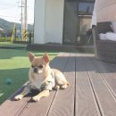 (주)두리에너지 이미지