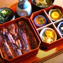 오늘도 장어 이미지