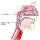 정수암소아과의원 이미지