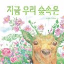 섬집 이미지