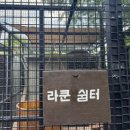 용인 실내동물원 수달앤쥬 후기｜아이랑 가기 좋은 이색동물 체험 추천