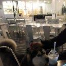 동해메밀촌 이미지