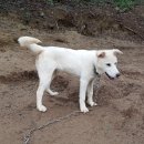 울산농장 이미지