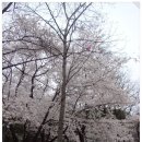 화성청과 이미지