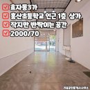 부동산손길공인중개사사무소 이미지