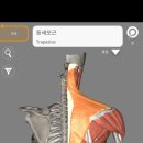 바디앤짐 신월점 이미지