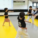 경희대 태권도장 이미지