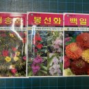 신정산우렁바위유아숲체험원 Daum카페