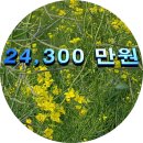 [ 구조다양 ] 은평구 구산동 신축빌라 / 구해줘요~~ 이미지