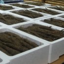 주주리농장 이미지