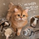 스타성인콜라택카페 | 이색 데이트 코스 추천! 대전 실내동물원 애니멀스타 먹이주기 체험 후기