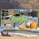 529 | 서울근교 드라이브하기 좋은 양평 대형 정원카페 추천, 내추럴가든529