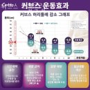 커브스 고읍클럽 이미지