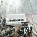 자유여행사 이미지