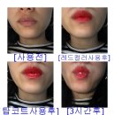 [맘스홀릭지후맘/시크릿키]하루종일 지워지지 않고 오랫동안 지속력이 우수한 시크릿키 타투컬러 립니큐어!