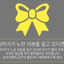 리본펫 이미지