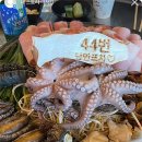 25시포차 - 보령시 | 25시포차