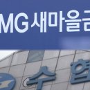 새마을금고빌딩 네이버블로그