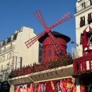 레아약국 이미지