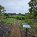 대서플랜트 이미지