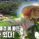 ‘농사’는 곧 ‘수행’이다. 자연을 벗삼아 또 다른 수행의 길을 가는 베르나르도 신부 | 자연의 철학자들 26부 '베르나르도 신부의 농 이미지